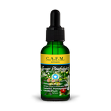 Inner Playfulness Body Oil